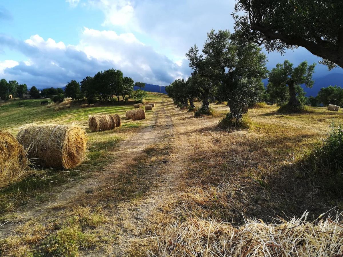 La Dimora Di Radha B&B Centro Olistico Rende Luaran gambar