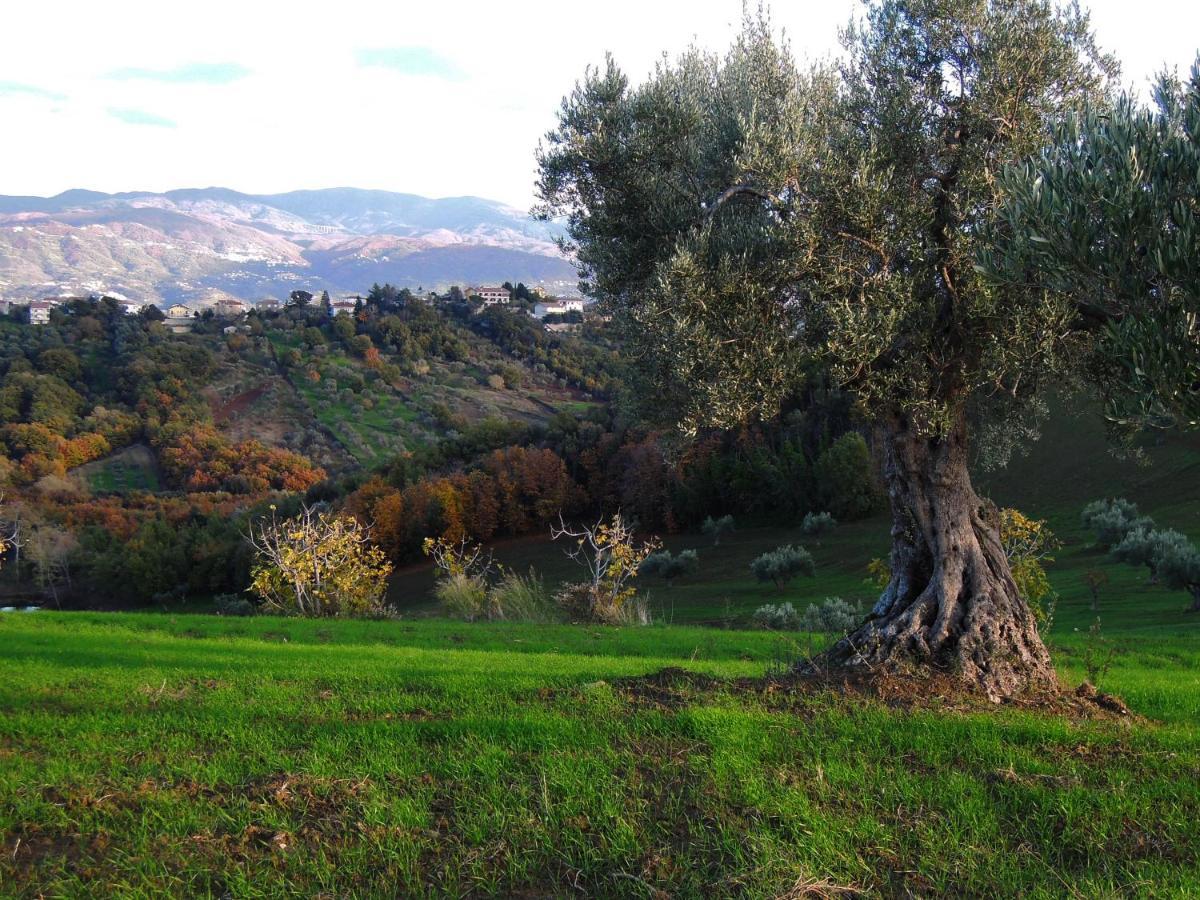 La Dimora Di Radha B&B Centro Olistico Rende Luaran gambar