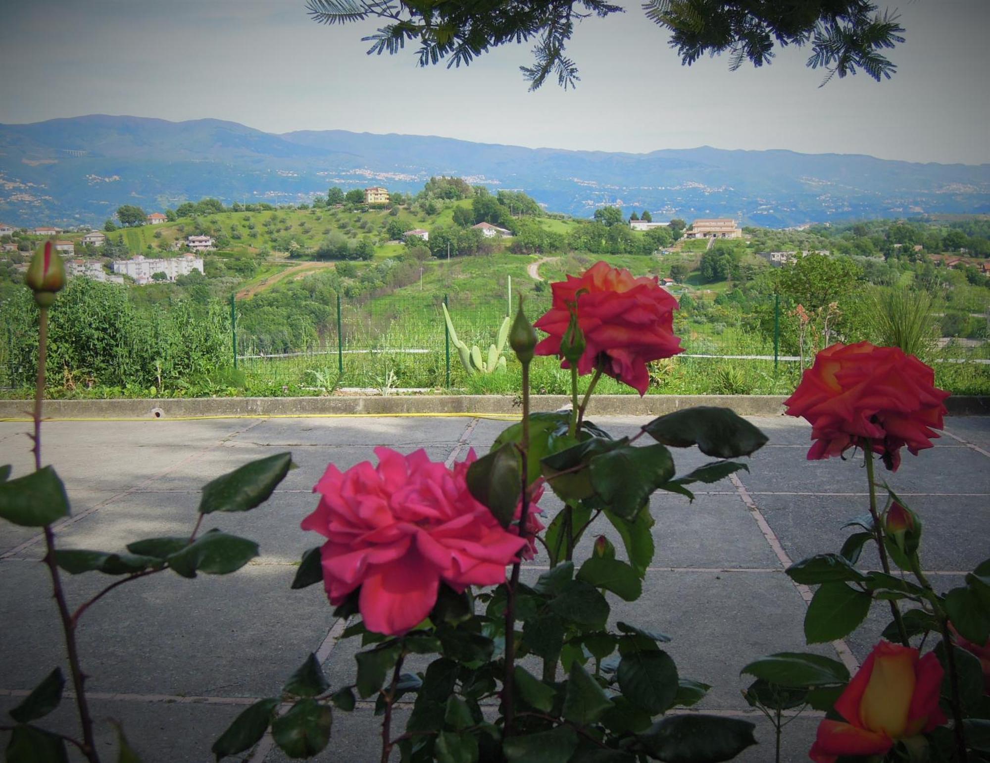 La Dimora Di Radha B&B Centro Olistico Rende Luaran gambar